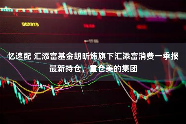 忆速配 汇添富基金胡昕炜旗下汇添富消费一季报最新持仓，重仓美的集团
