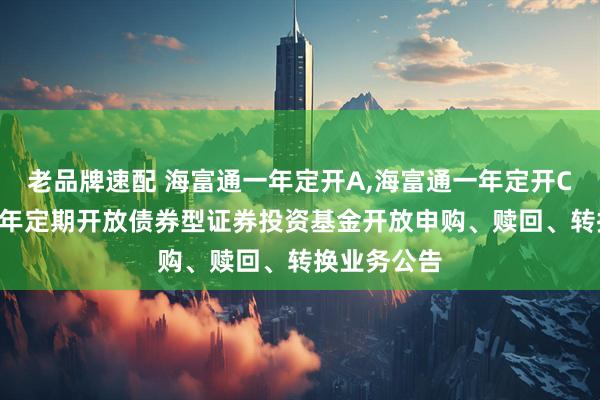 老品牌速配 海富通一年定开A,海富通一年定开C: 海富通一年定期开放债券型证券投资基金开放申购、赎回、转换业务公告